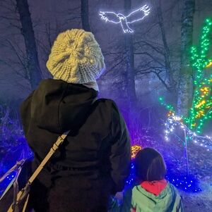 Meet your Posher, Em